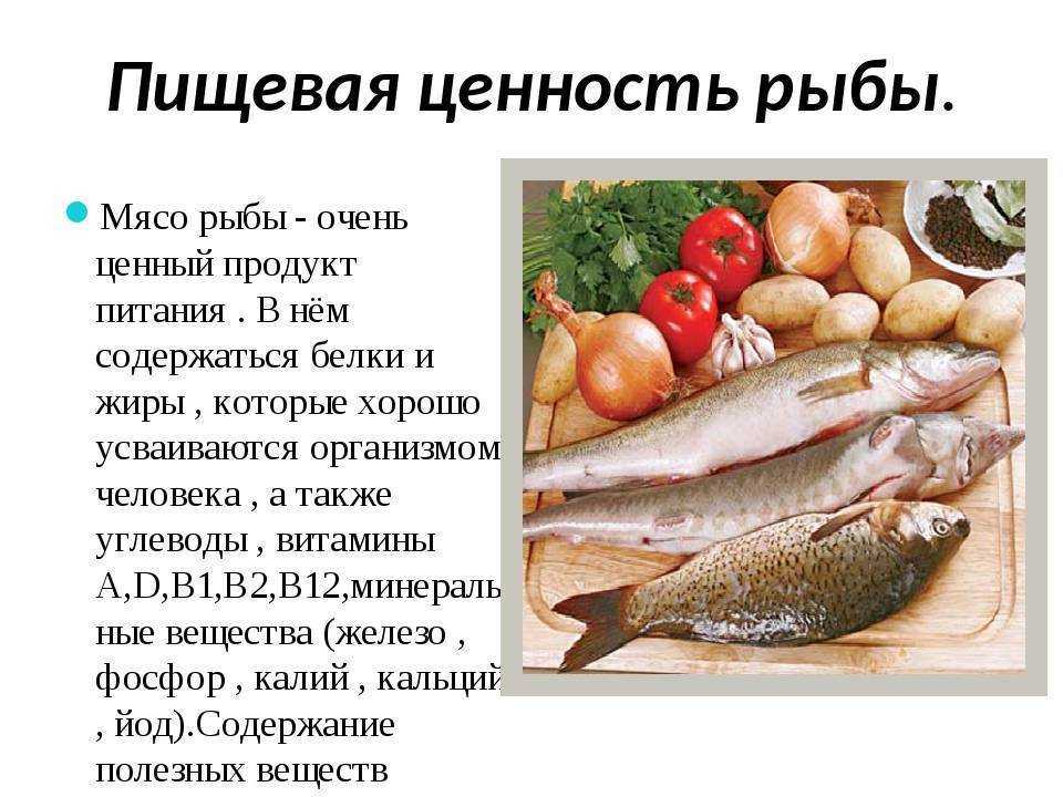 Лимонелла в духовке: полезные свойства рыбы и рецепты приготовления