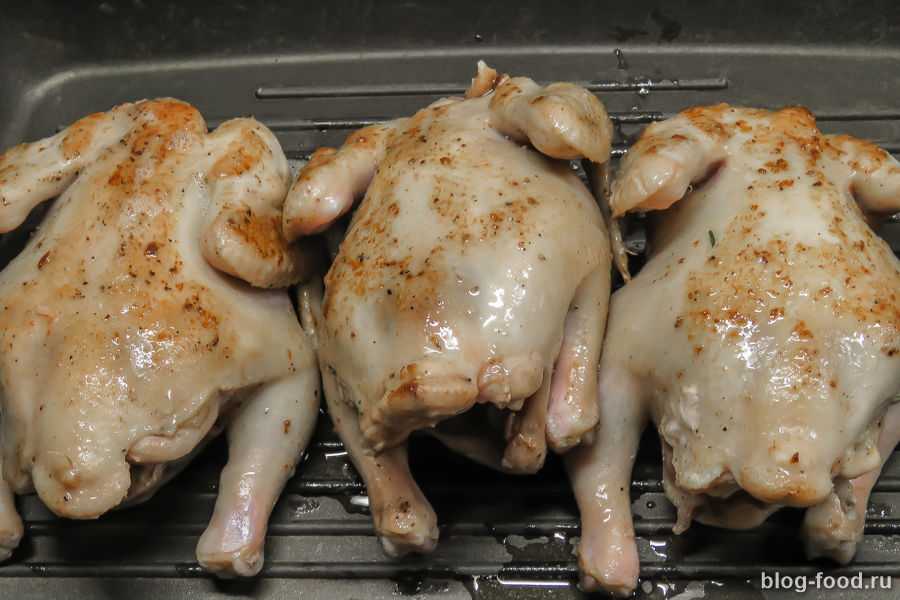 Цыпленок корнишон в духовке – 4 рецепта