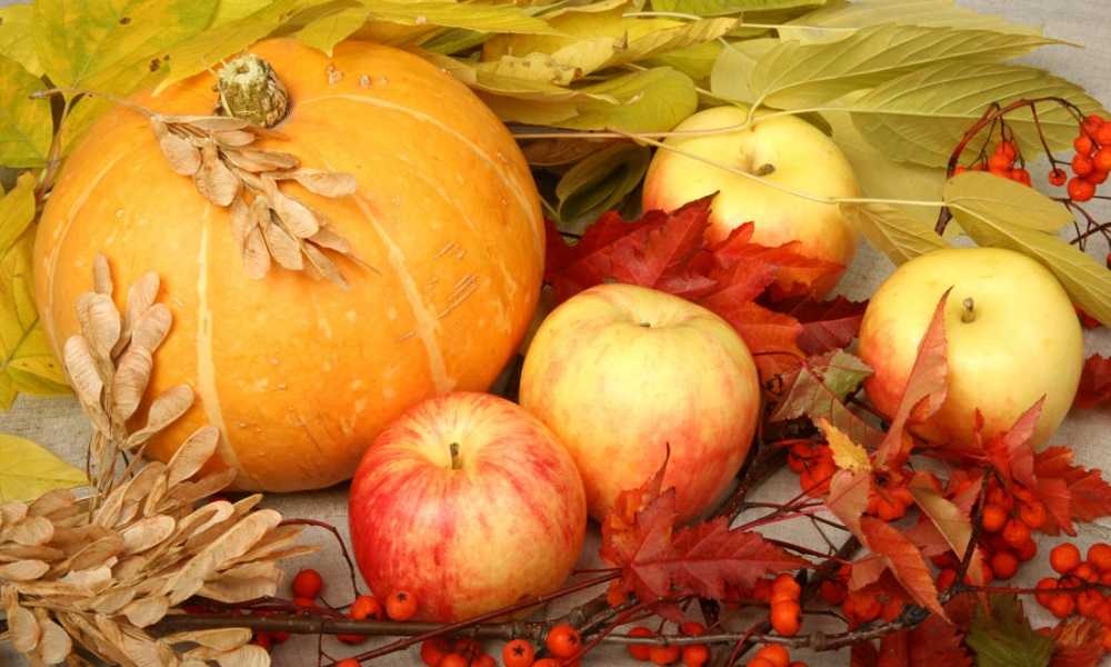 Запеченная тыква с яблоками – понравится! рецепты запеченной тыквы с яблоками и апельсинами, сухофруктами, рисом и под безе