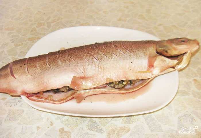 Рыба муксун: рецепты приготовления