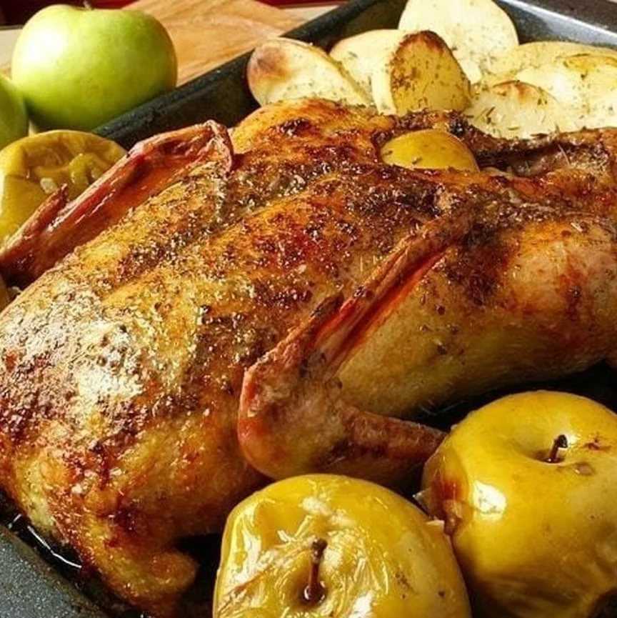 Утка с яблоками – 5 фото-рецептов: в рукаве, фольге, утятнице, с черносливом, картошкой