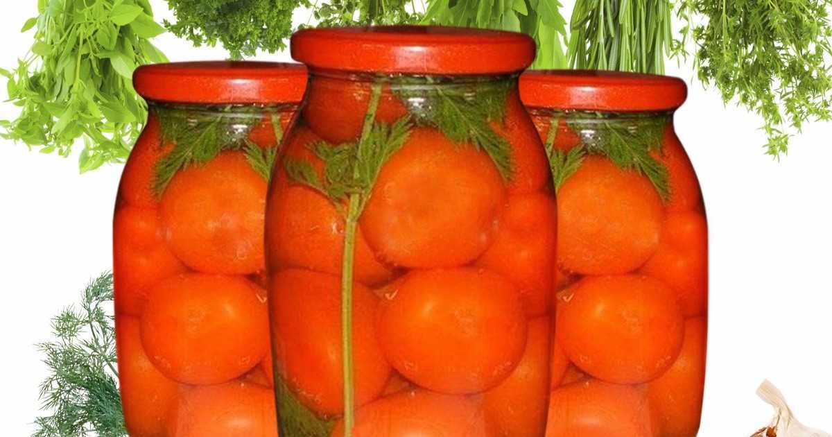 Как приготовить фаршированные зеленые помидоры 🥫 на зиму по пошаговому рецепту с фото