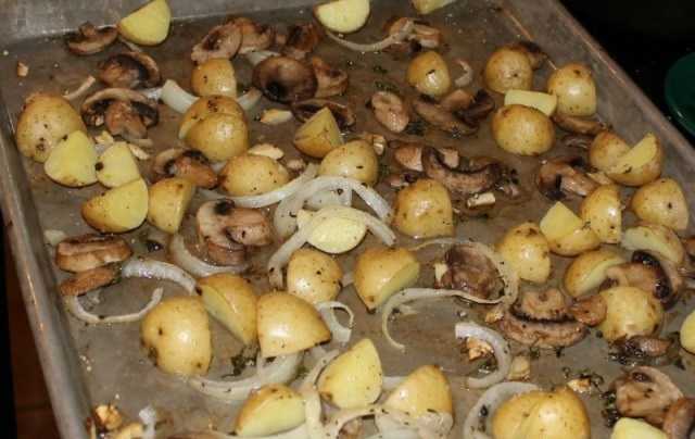 Картошка в сметане в духовке. рецепт с курицей, грибами, мясом, сыром, сметаной в горшочке, рукаве, фольге, пакете