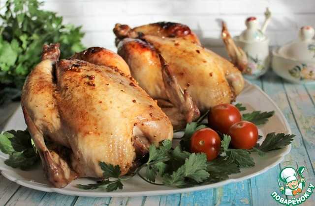 Цыплята корнишоны — рецепты в духовке, на сковороде, на мангале и в мультиварке