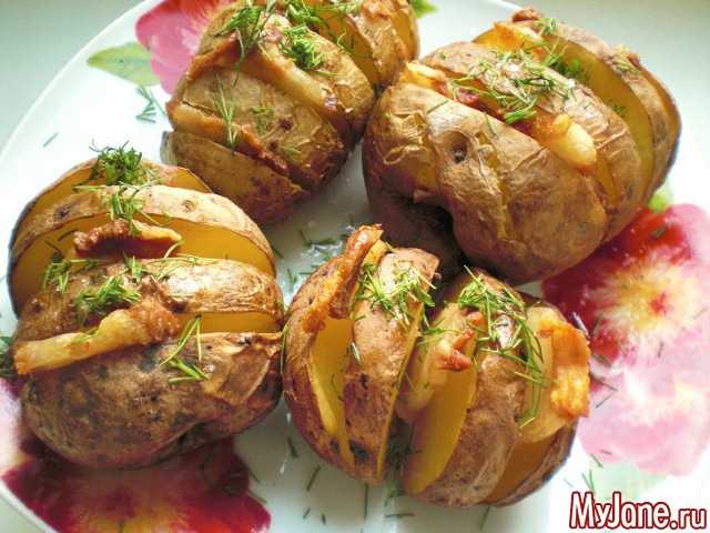 Картошка с салом в духовке: 9 рецептов приготовления