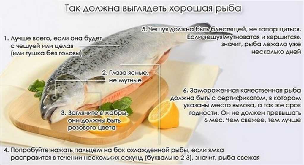 Рыба гриль - 29 рецептов приготовления пошагово - 1000.menu