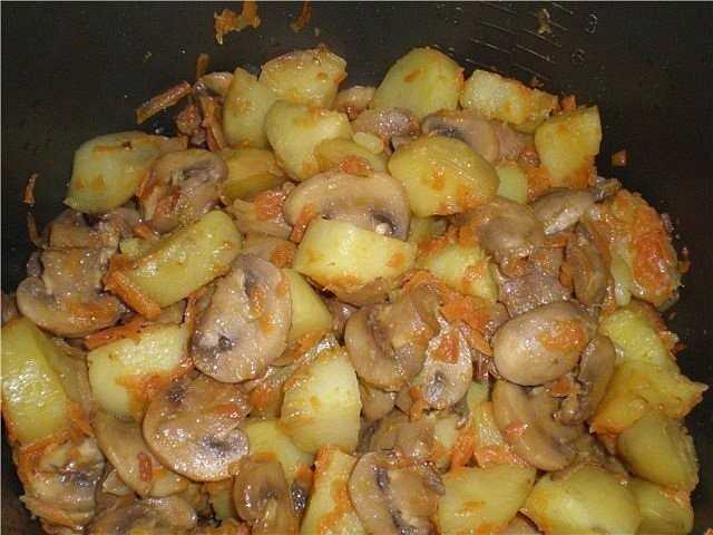 Картошка с грибами в мультиварке: рецепты с фото