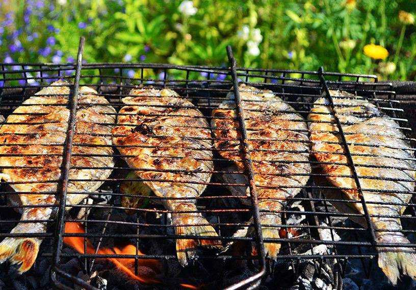 Маринад для сёмги на мангале: 16 лучших рецептов для нежной рыбы