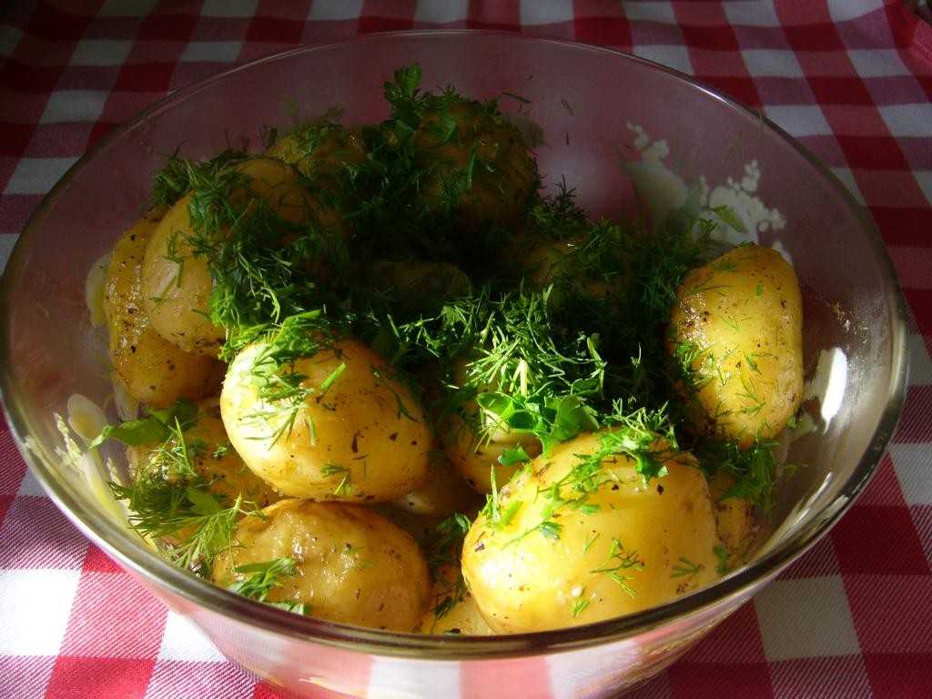 Запекаем в духовке вкусную молодую картошку — бесподобные рецепты