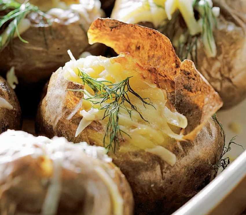 Картофельная запеканка с фаршем в духовке – 9 самых простых и вкусных пошаговых рецептов с фото