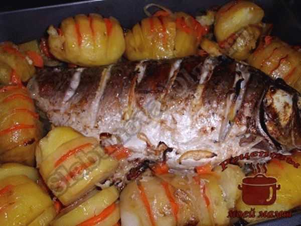 Запеченная рыба с картошкой в духовке - 135 домашних вкусных рецептов