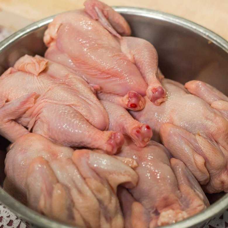 Рецепты приготовления цыплят-корнишонов в духовке
