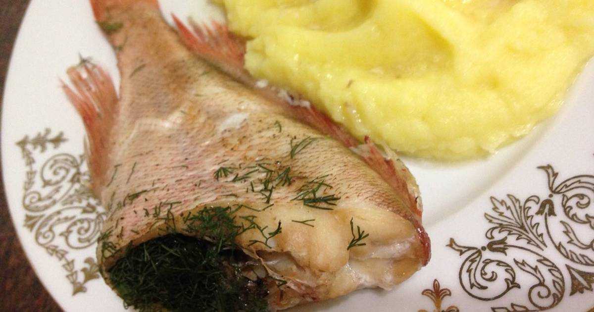 Как приготовить морского окуня в духовке? простые и вкусные рецепты приготовления