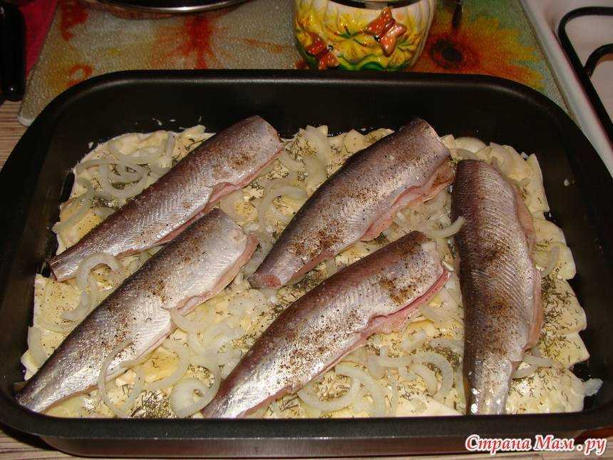 Рецепты приготовления корюшки, как вкусно приготовить блюда в духовке