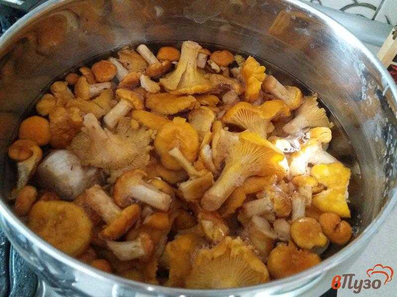 Как приготовить грибы лисички с мясом: фото, рецепты для духовки и мультиварки