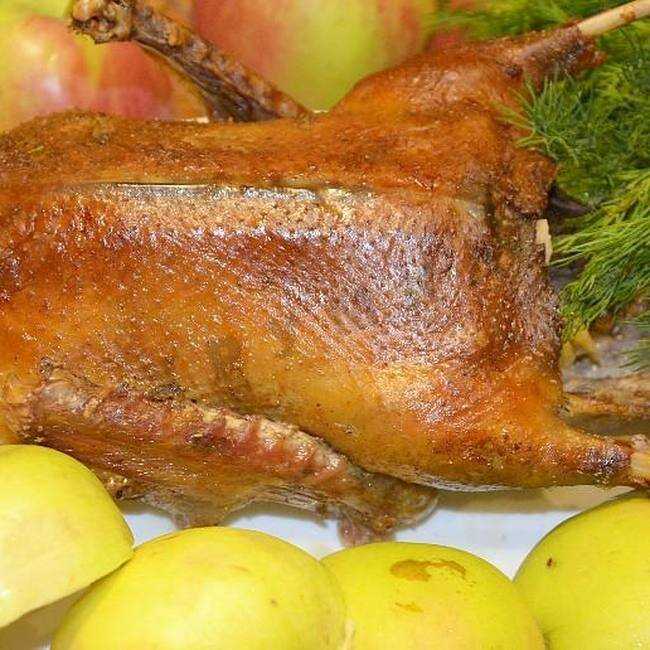 Куриное филе с картошкой в духовке – 10 пошаговых рецептов приготовления