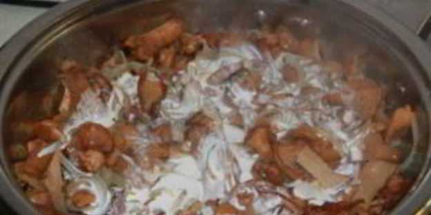 Лисички в сметане — рецепты приготовления с мясом, картошкой и сыром на сковороде или в духовке