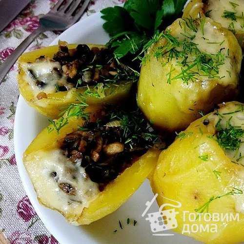 Картофель, фаршированный грибами: фото и рецепты запеченной картошки в духовке для начинающих хозяек