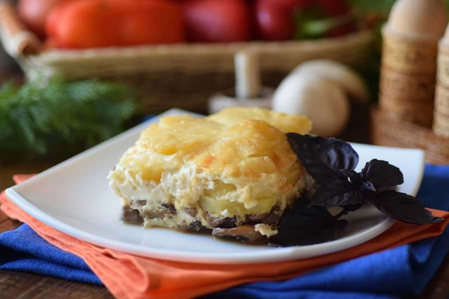 Картофельная запеканка с грибами в духовке — 5 рецептов вкусной запеканки