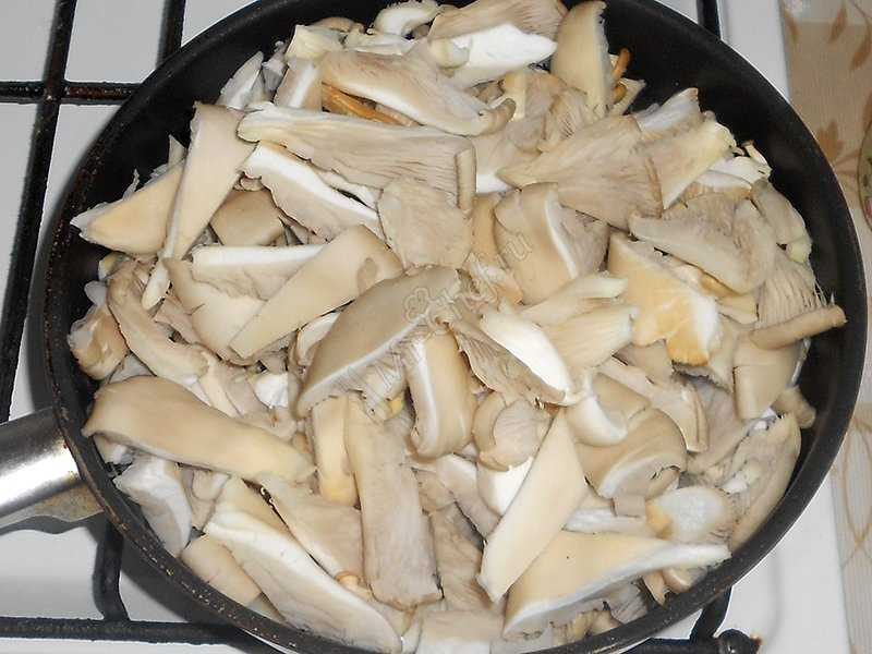 Тушеные вешенки: фото и рецепты грибов, тушеных в сметане и без с разными ингредиентами