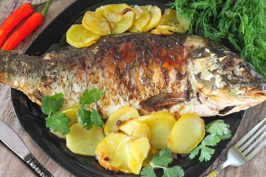 Рыба с картошкой в духовке - 135 рецептов приготовления пошагово - 1000.menu
