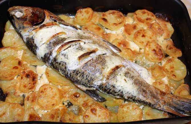 Ледяная рыба — польза и вред, рецепты приготовления на сковороде или духовке с фото