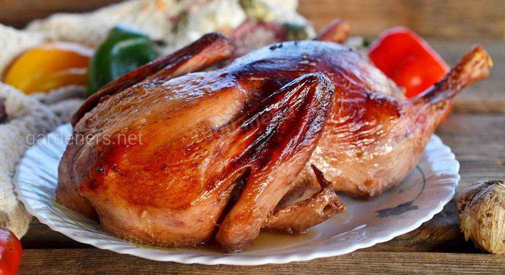 Маринад для утки – 8 пошаговых рецептов для запекания в духовке