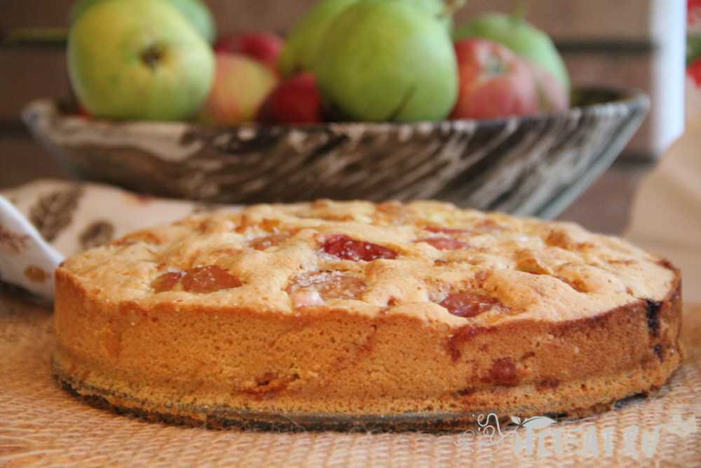 Классическая шарлотка с яблоками в духовке - 8 простых рецептов с фото пошагово