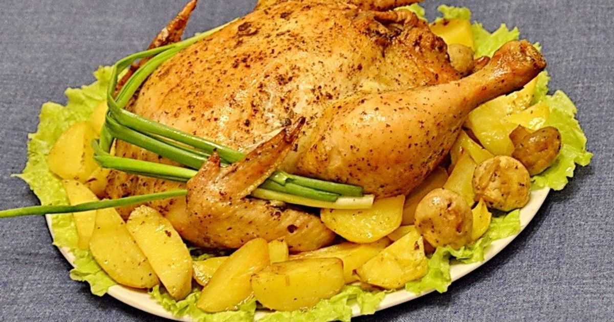 Курица фаршированная гречкой в духовке рецепт с фото пошагово - 1000.menu