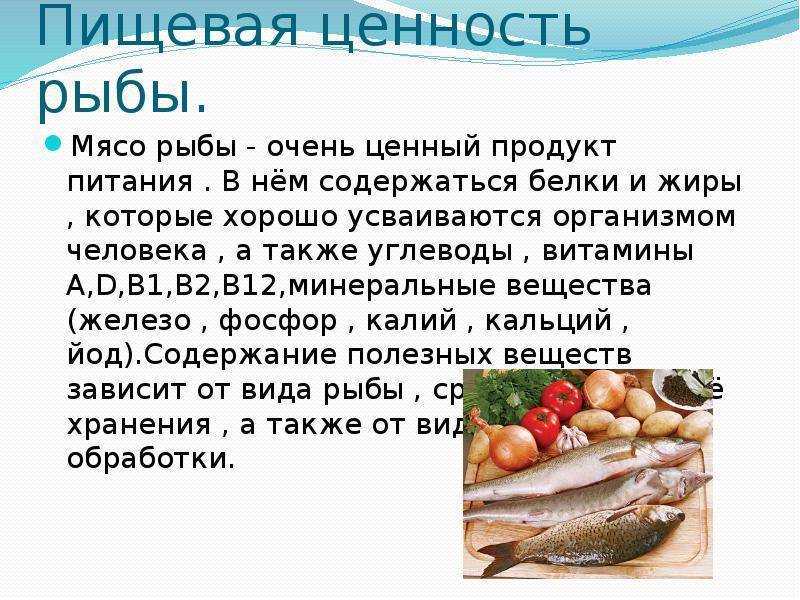 Сколько жарить рыбу на гриле — несколько секретов вкусного и полезного блюда