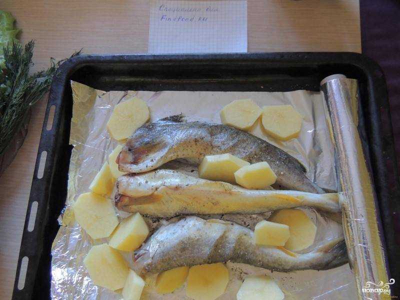 Ледяная рыба — лучшие рецепты приготовления вкусных блюд