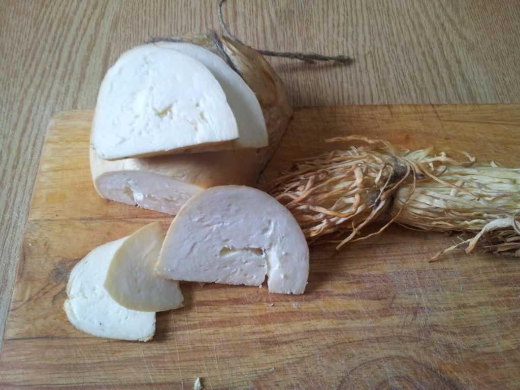 Как жарить адыгейский сыр на сковороде – 4 пошаговых рецепта
