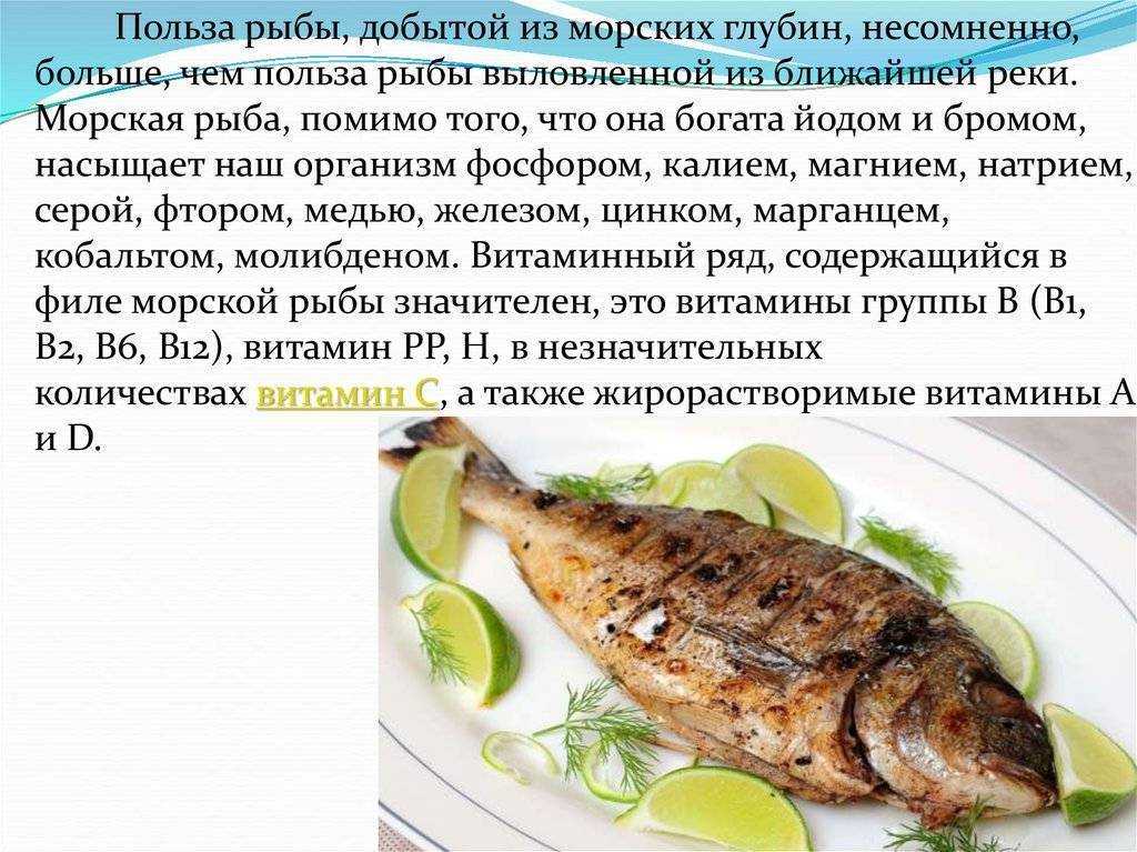 Как приготовить морской язык в духовке: поиск по ингредиентам, советы, отзывы, пошаговые фото, подсчет калорий, изменение порций, похожие рецепты
