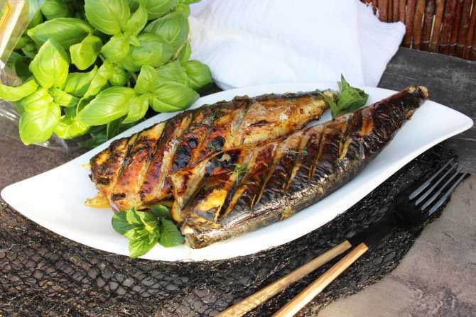 Скумбрия на гриле - 72 рецепта: рыба | foodini