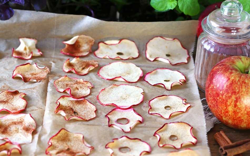 Сушка яблок в домашних условиях: описание способов заготовки сушеных яблок