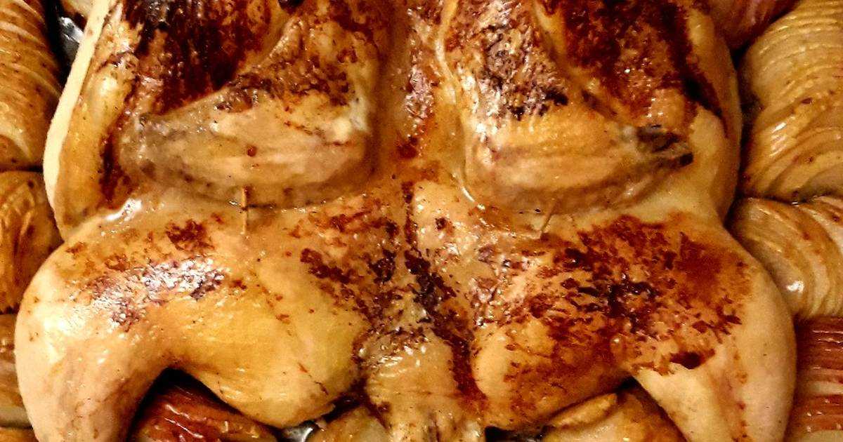 Курица с яблоками в духовке — 7 самых любимых рецептов