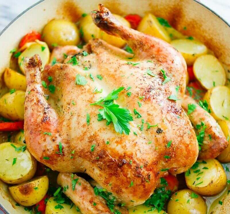 Курица в духовке целиком — рецепты запекания с хрустящей корочкой