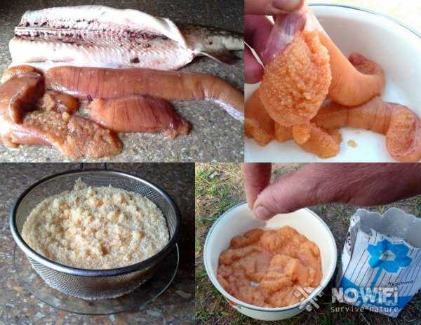 Рецепт для свежей рыбной икры