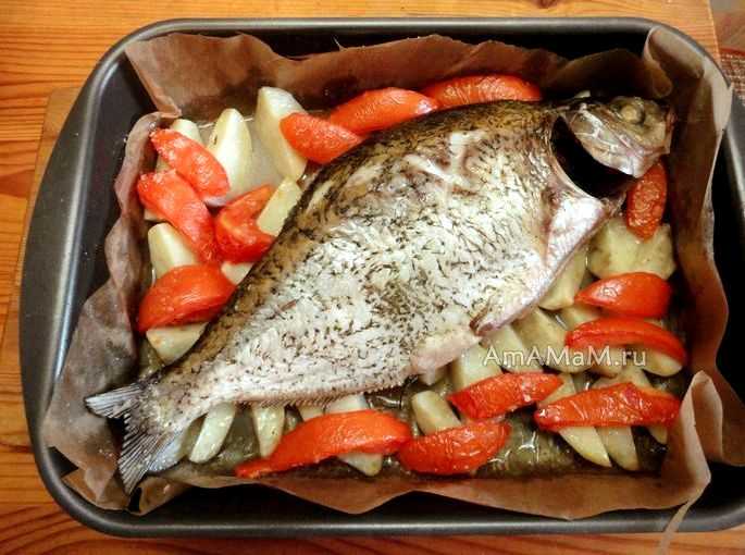 Запеченная рыба в фольге, рецепты в духовке