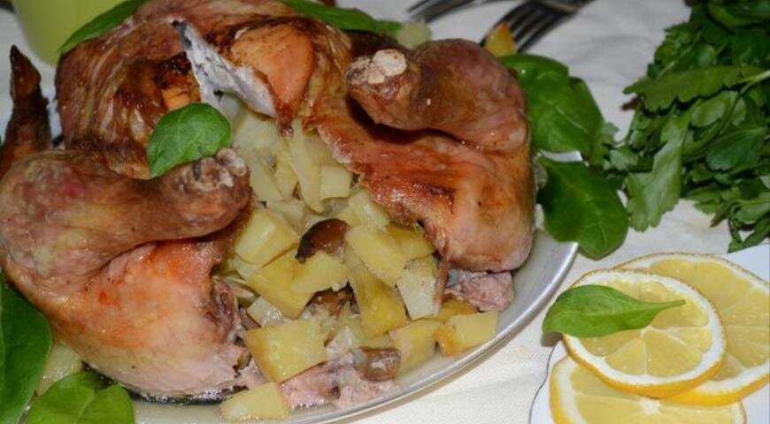 Курица фаршированная свининой грибами и фасолью рецепт с фото пошагово - 1000.menu