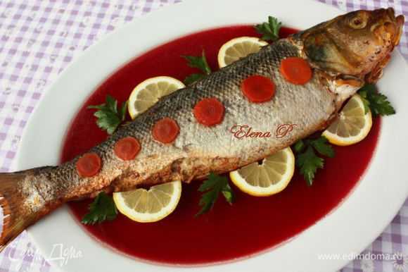 Фаршированная рыба по-еврейски: как приготовить карпа, щуку, вкусные рецепты