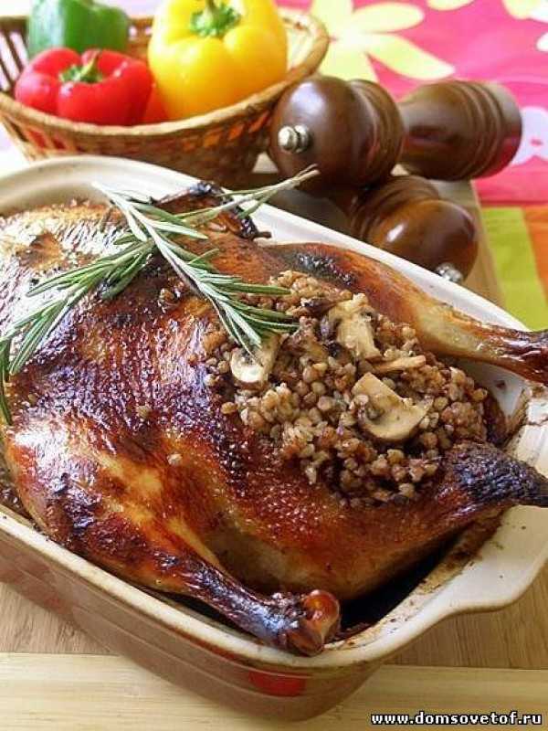 Фаршированная утка гречкой в духовке – рецепт к празднику