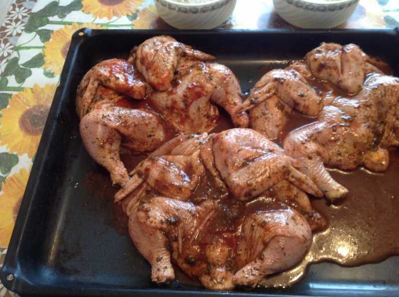 Корнишоны цыплята рецепт с фото в духовке