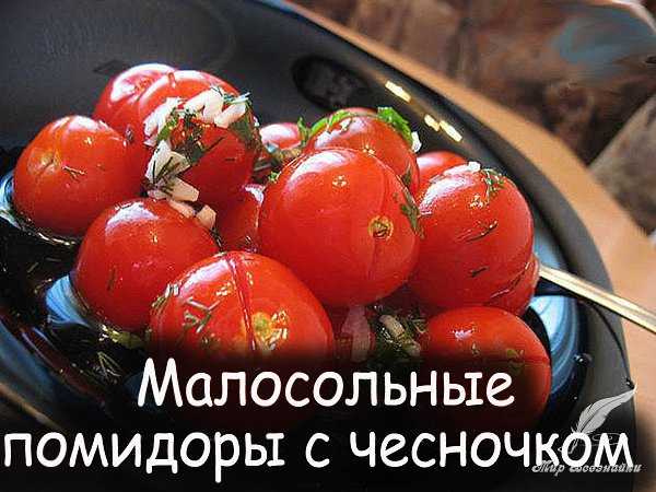Малосольные помидоры — 8 рецептов быстрого приготовления
