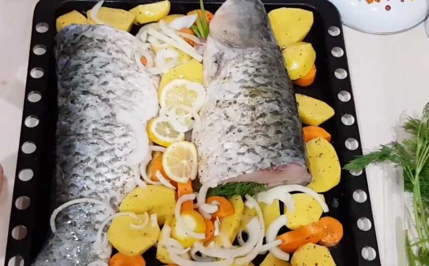 Рыба белый амур: 7 домашних вкусных рецептов