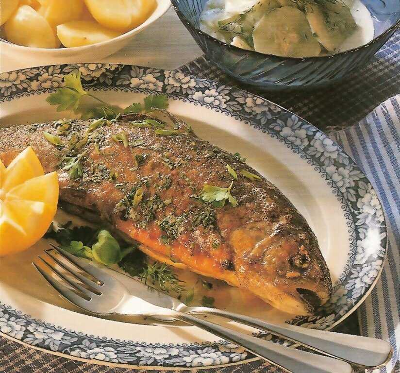 Форель в фольге в духовке - восхитительно вкусные рецепты запеченной красной рыбы
