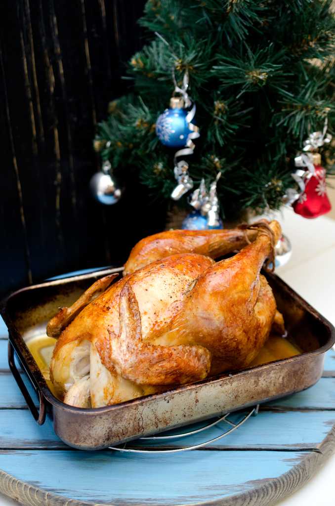 Горячее блюдо из курицы на новый год – простые и вкусные рецепты с фото