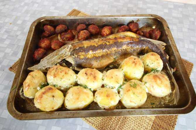 Сом, запеченный в духовке: рецепты - целиком в духовке, кусочками, с картошкой, с овощами, в сметане