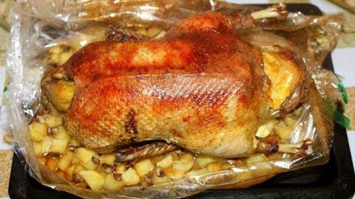 Утка в духовке с картошкой – 8 рецептов приготовления