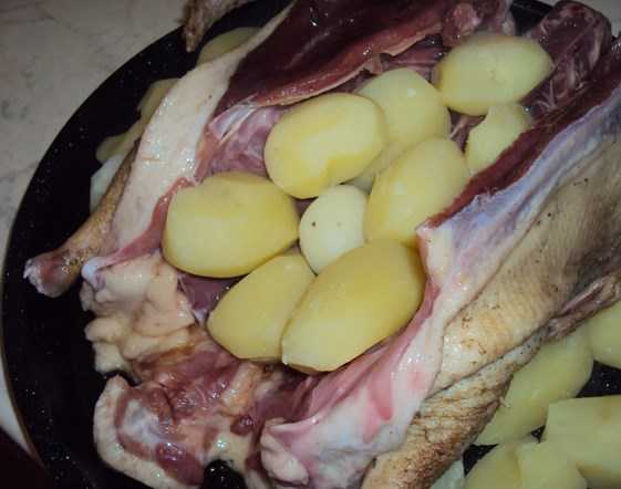 Индоутка в духовке: рецепт приготовления сочного мяса с яблоками
